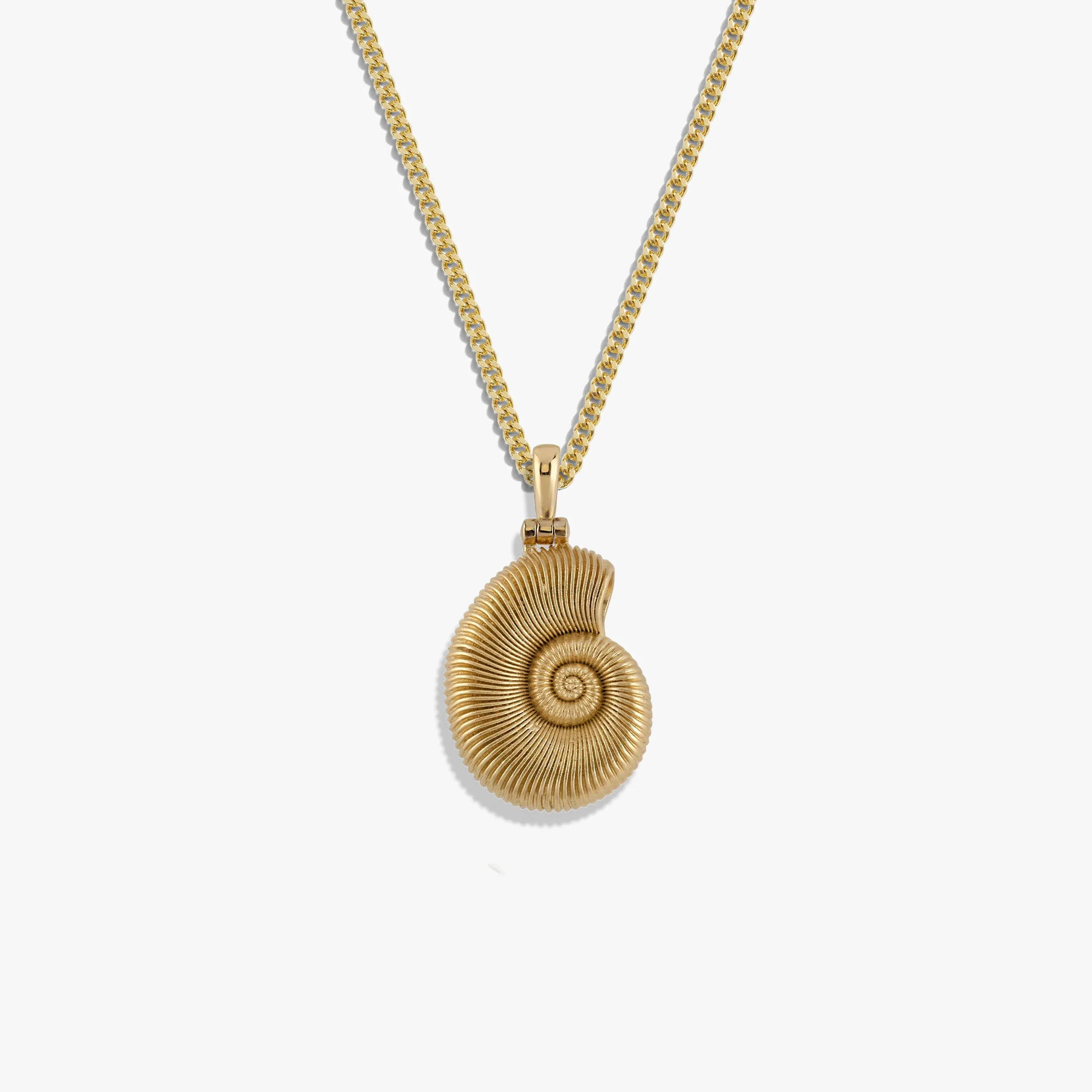 Deep Sea Ammonite Shell Necklace