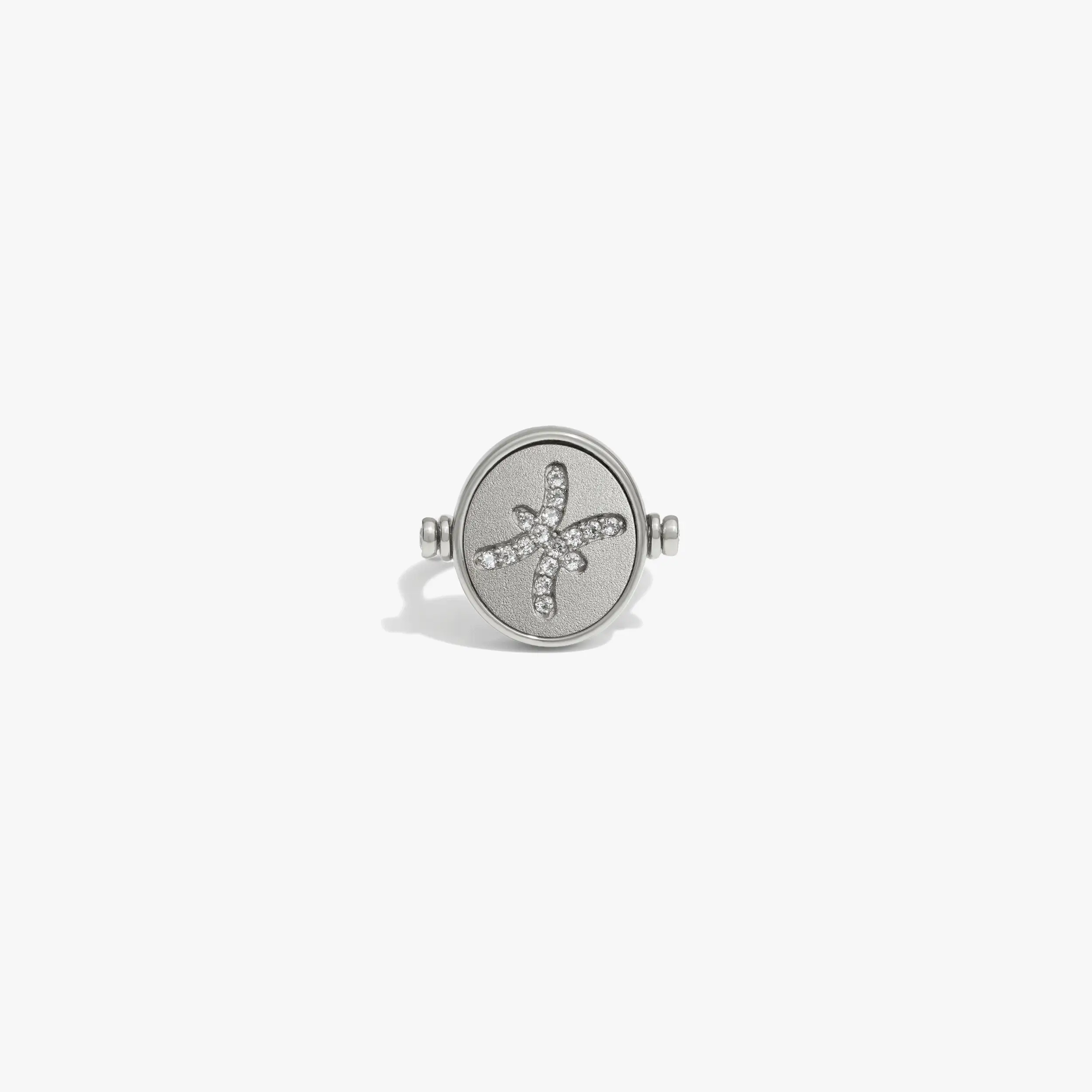 Pisces & Water Flip Ring