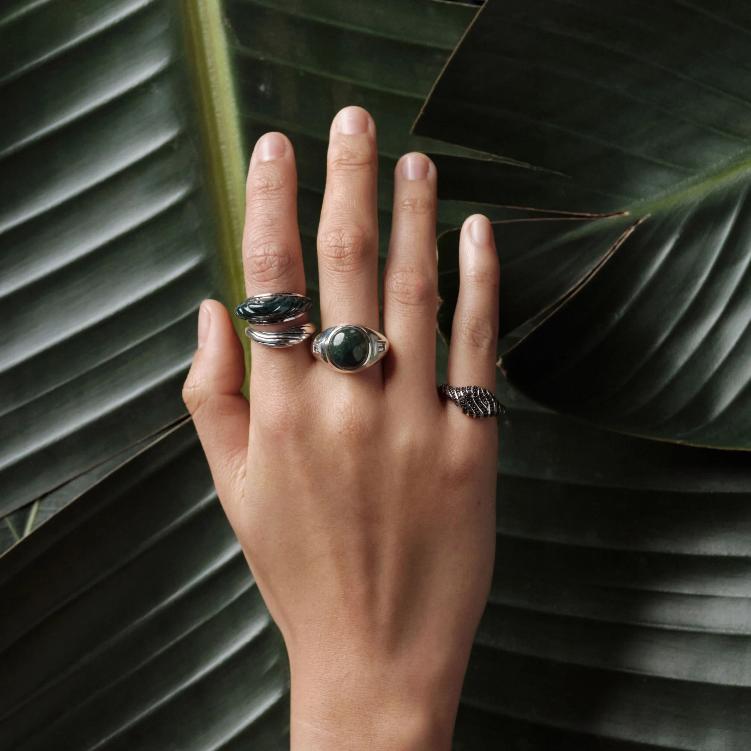 Primal Panthera Signet Ring - Image 3