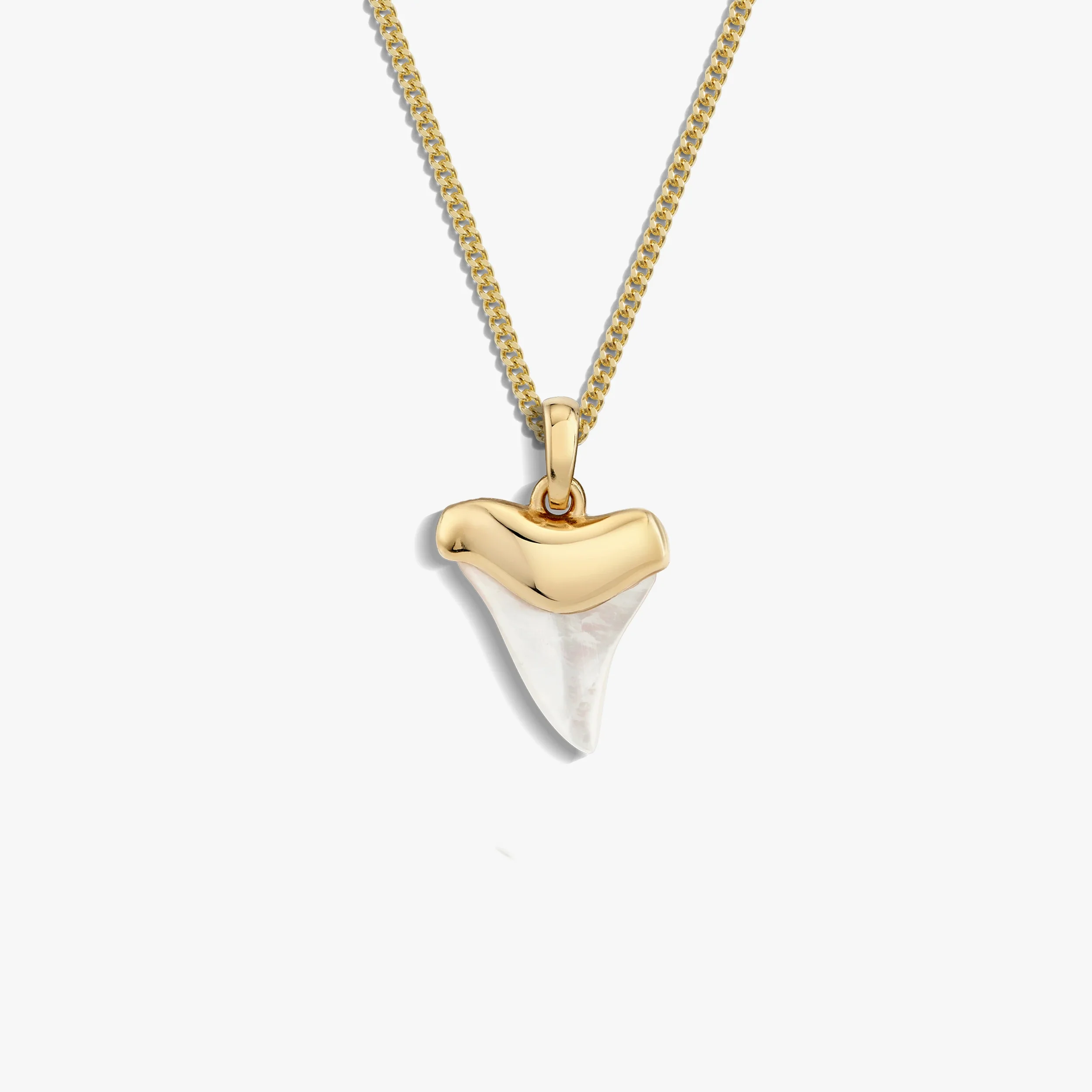 Shark Tooth Necklace