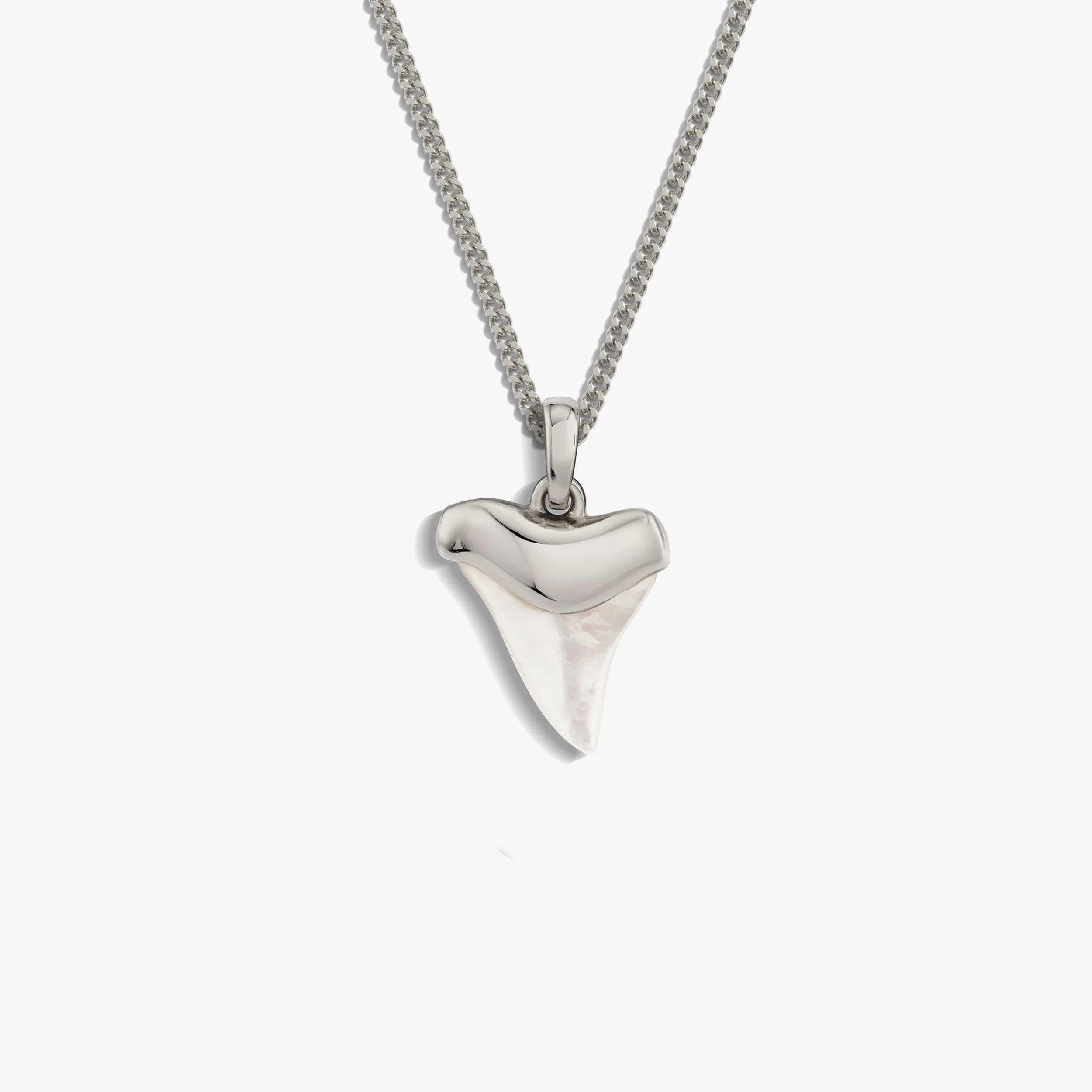 Shark Tooth Necklace - Image 6