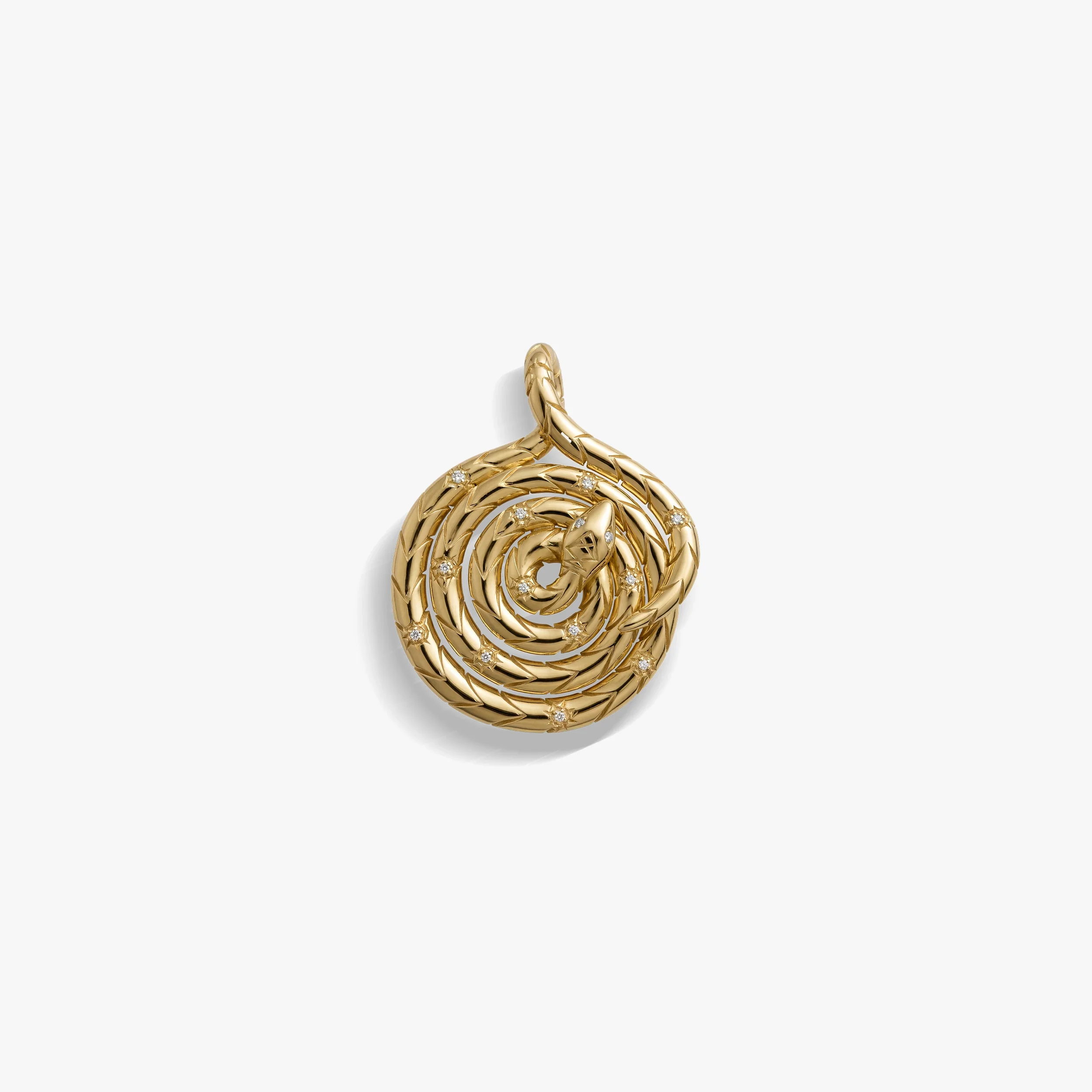 Sapphire Spiral Snake Coin