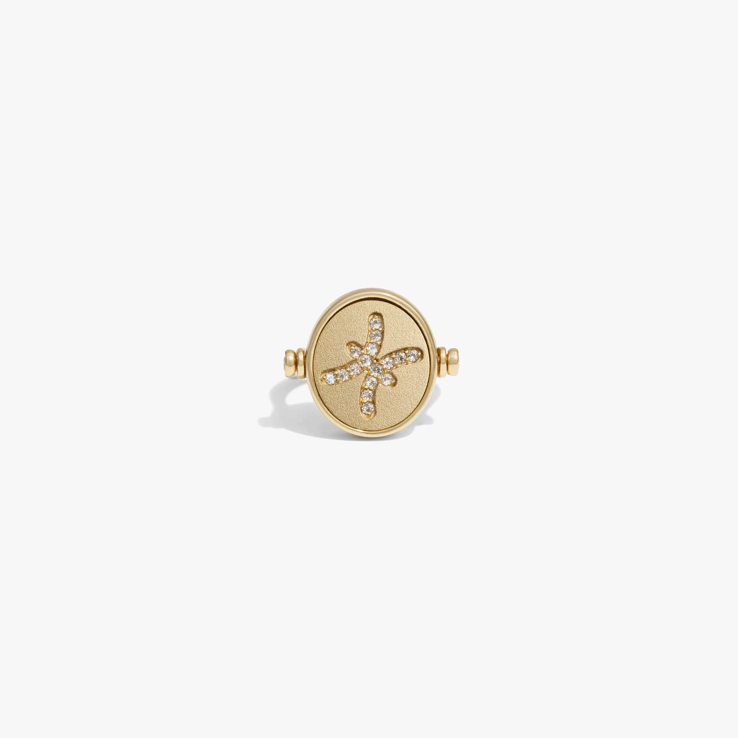 Zodiac Element Flip Ring - Image 16